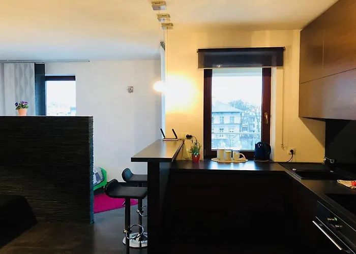 Apartament z widokiem na Wawel w centrum miasta